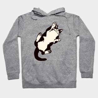 cute cats Hoodie